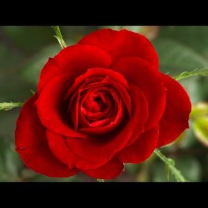 Meet your Posher, Wyndi